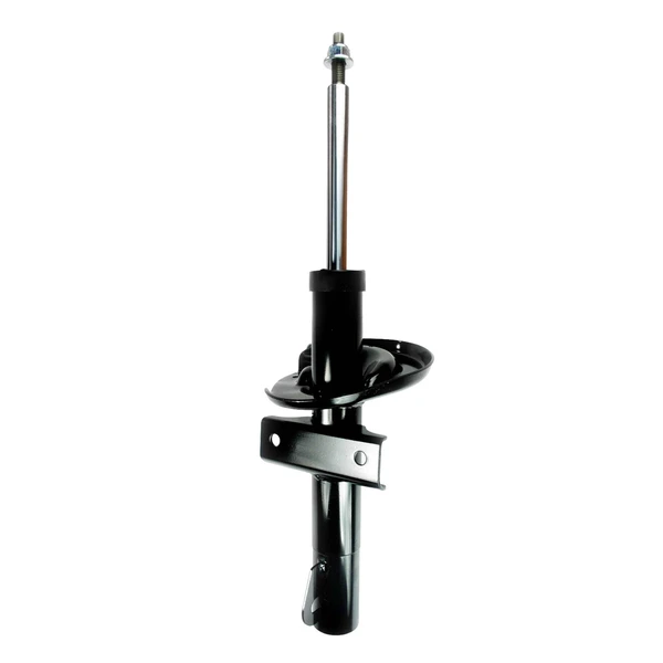 FCS Auto 335541 Suspension Strut, Front Side