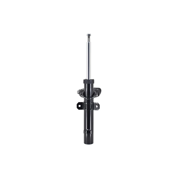 FCS Auto 335811 Suspension Strut, Front Side