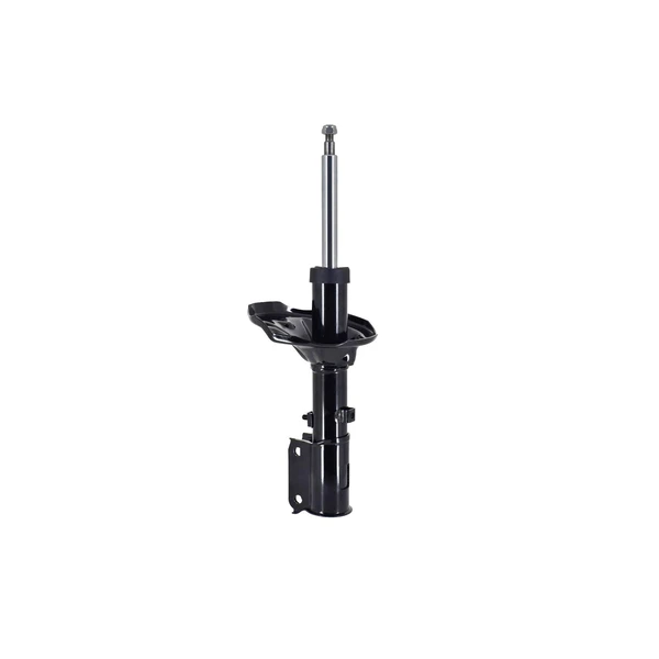 FCS Auto 331600 Suspension Strut, Front Side