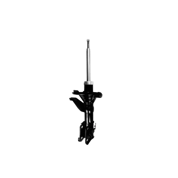 FCS Auto 331631R Suspension Strut, Front Right Passenger Side