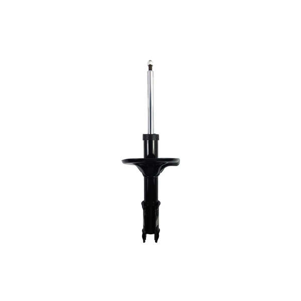 FCS Auto 331666 Suspension Strut, Front Side