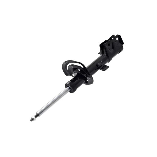 FCS Auto 331789R Suspension Strut, Front Right Passenger Side