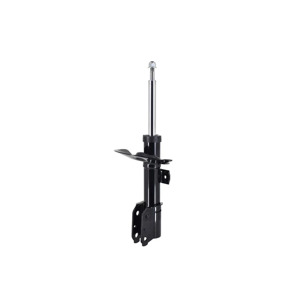 FCS Auto 331818 Suspension Strut, Front Side