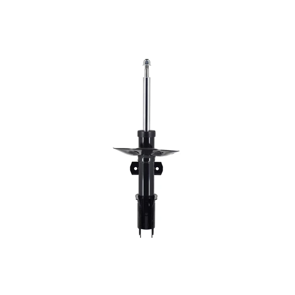 FCS Auto 331818 Suspension Strut, Front Side