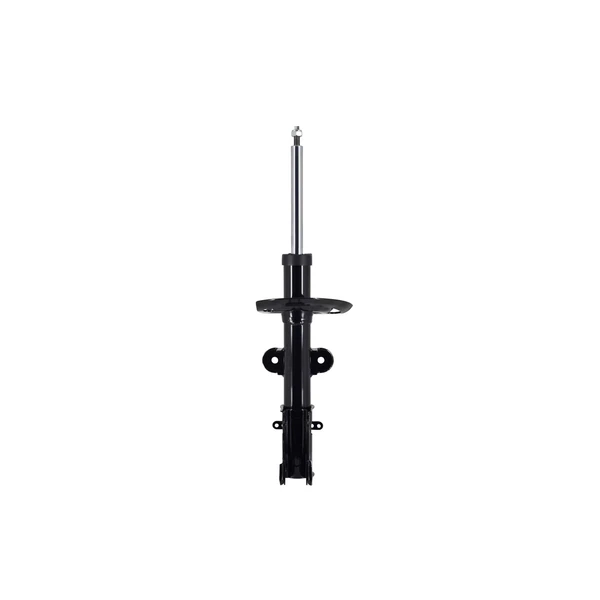 FCS Auto 331821 Suspension Strut, Front Side