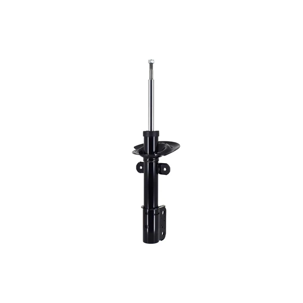 FCS Auto 332304 Suspension Strut, Rear Side