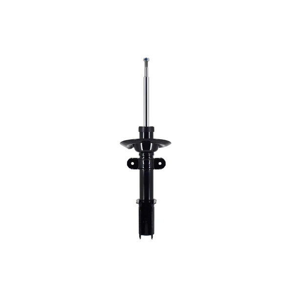 FCS Auto 332304 Suspension Strut, Rear Side