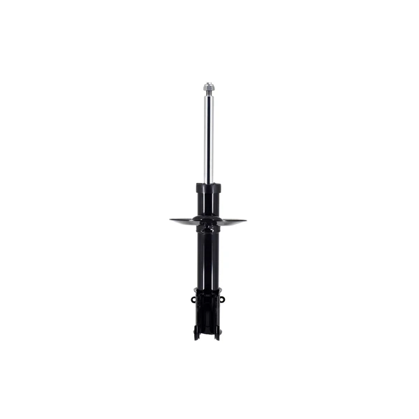 FCS Auto 332335 Suspension Strut, Front Side