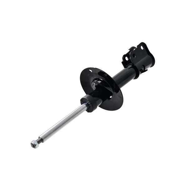 FCS Auto 332335 Suspension Strut, Front Side
