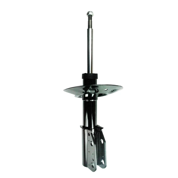 FCS Auto 332343 Suspension Strut, Front Side