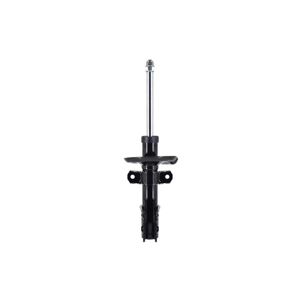 FCS Auto 332356 Suspension Strut, Front Side