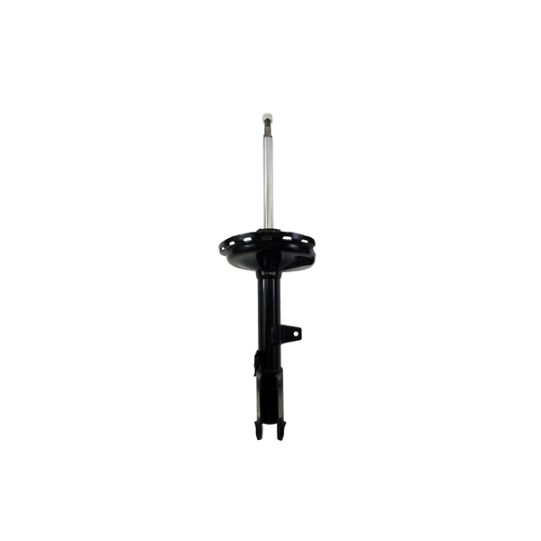 FCS Auto 333378L Suspension Strut, Rear Left Driver Side