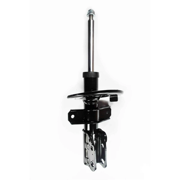 FCS Auto 333405 Suspension Strut, Front Side