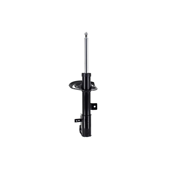 FCS Auto 333406R Suspension Strut, Front Right Passenger Side