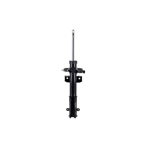 FCS Auto 333488 Suspension Strut, Front Side