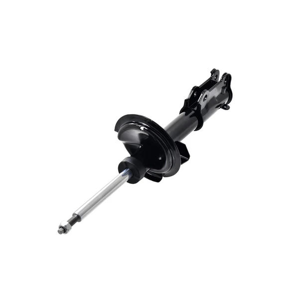 FCS Auto 333488 Suspension Strut, Front Side