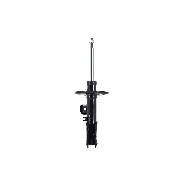 FCS Auto 333489R Suspension Strut, Front Right Passenger Side