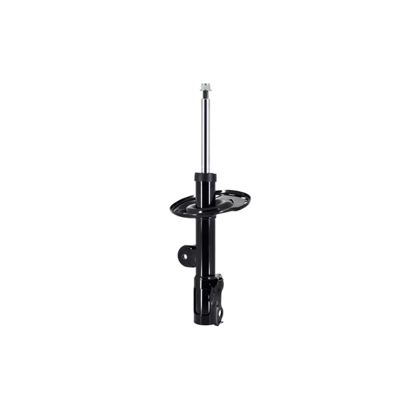 FCS Auto 333524R Suspension Strut, Front Right Passenger Side