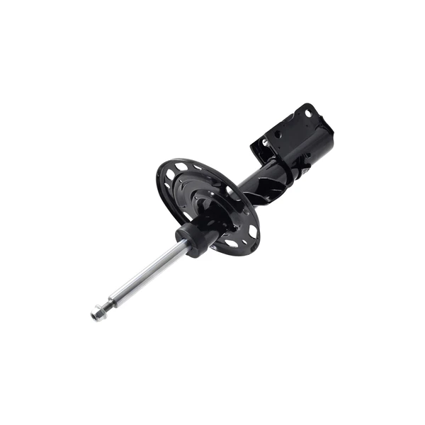 FCS Auto 333565R Suspension Strut, Front Right Passenger Side