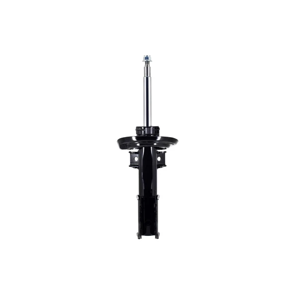 FCS Auto 333760 Suspension Strut, Front Side
