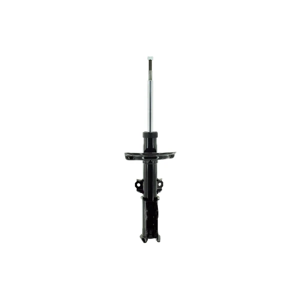 FCS Auto 333839 Suspension Strut, Front Side