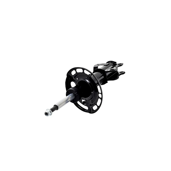 FCS Auto 333844R Suspension Strut, Front Right Passenger Side