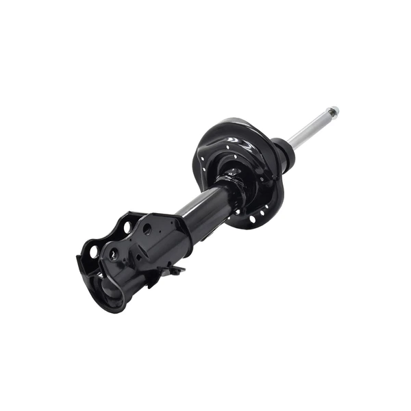 FCS Auto 333969R Suspension Strut, Front Right Passenger Side