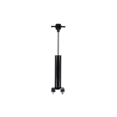 FCS Auto 344312 Suspension Shock Absorber, Front Side