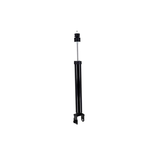 FCS Auto 346242 Suspension Shock Absorber, Rear Side