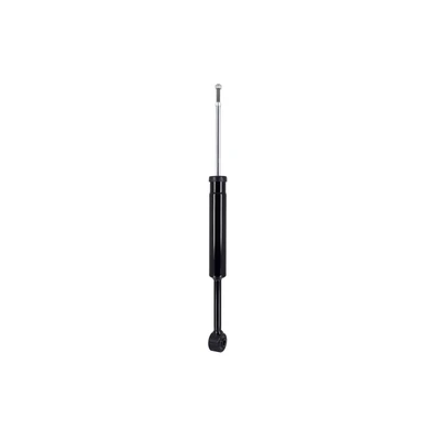 FCS Auto 346254 Suspension Shock Absorber, Rear Side