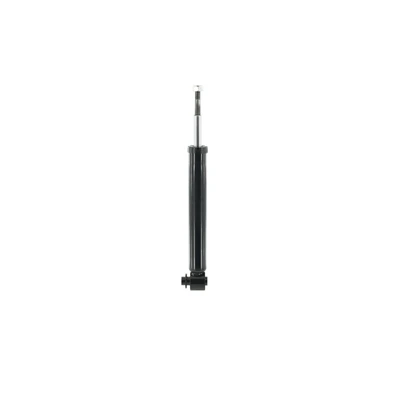 FCS Auto 346251 Suspension Shock Absorber, Rear Side