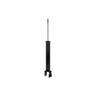 FCS Auto 346334 Suspension Shock Absorber, Rear Side