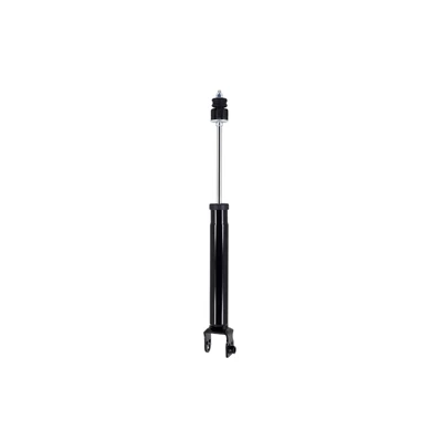 FCS Auto 341558 Suspension Shock Absorber, Rear Side