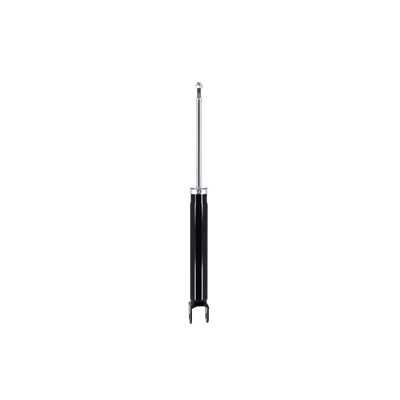 FCS Auto 341964 Suspension Shock Absorber, Rear Side