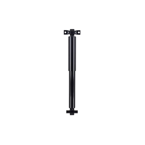 FCS Auto 342873 Suspension Shock Absorber, Rear Side