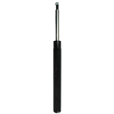 FCS Auto 36C003 Suspension Strut Cartridge, Front Side