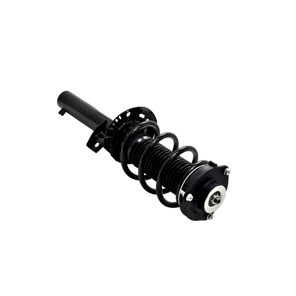 FCS Auto 7335576 Suspension Strut and Coil Spring Assembly, Front Side