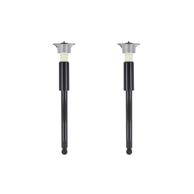 FCS Auto 8346122 Suspension Shock Absorber, Rear Side