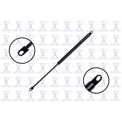 FCS Auto 84409 Tailgate Lift Support