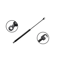 FCS Auto 84484 Liftgate Lift Support, Rear Side