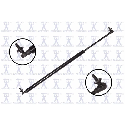 FCS Auto 84535 Liftgate Lift Support