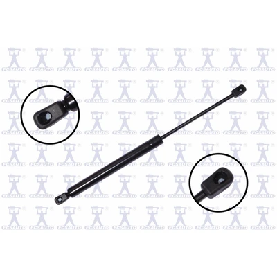 FCS Auto 84602 Liftgate Lift Support, Rear Side