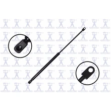 FCS Auto 84634 Liftgate Lift Support