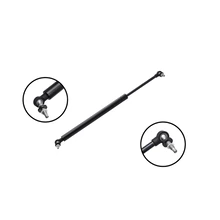 FCS Auto 84699 Liftgate Lift Support