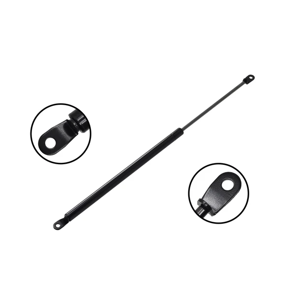 FCS Auto 84713 Liftgate Lift Support, Rear Side