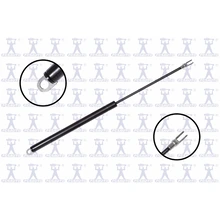 FCS Auto 84729 Liftgate Lift Support, Rear Side