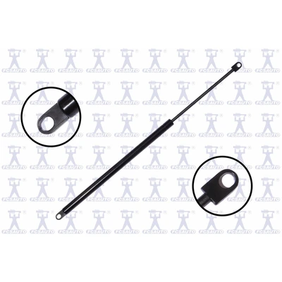 FCS Auto 84772 Liftgate Lift Support, Rear Side