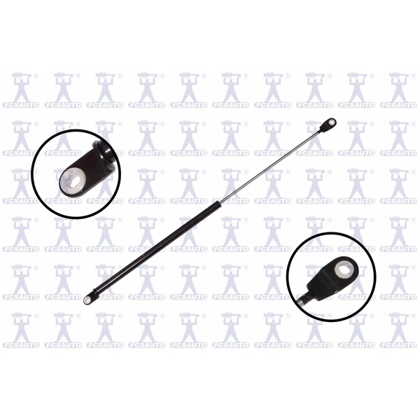 FCS Auto 84789 Door Lift Support, Rear Side