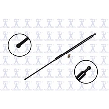 FCS Auto 84829 Liftgate Lift Support, Rear Side