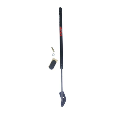 FCS Auto 84835 Liftgate Lift Support, Rear Right Passenger Side
